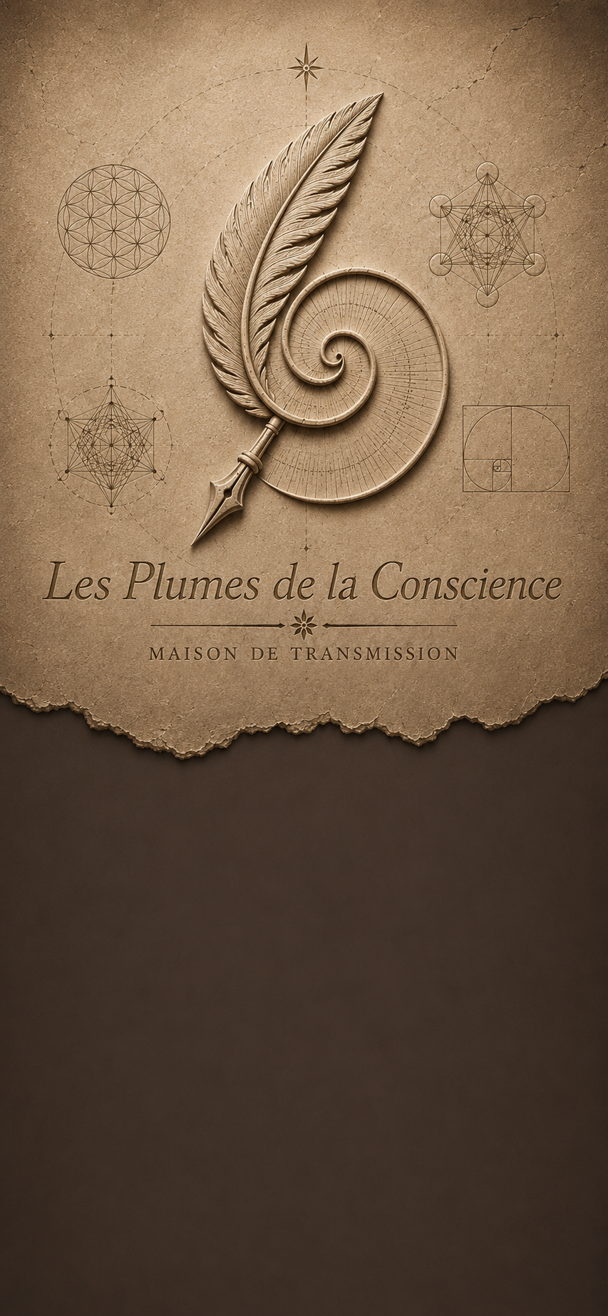 Les Plumes de La Conscience